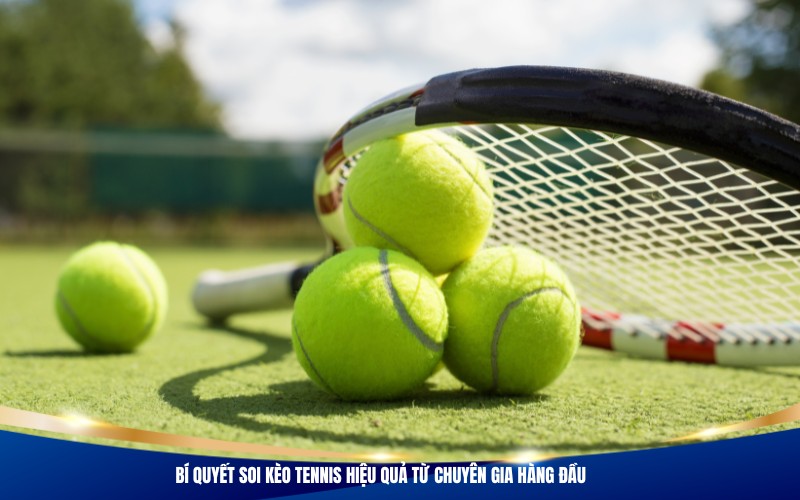 Bí quyết soi kèo tennis hiệu quả từ chuyên gia hàng đầu